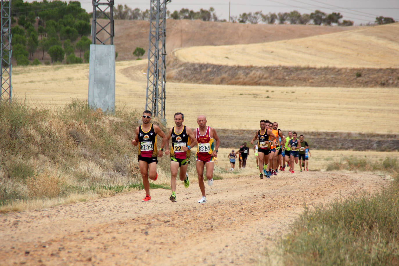 Fotos: Más de 300 atletas participan en la carrera &#039;Corriendo entre viña&#039; de Rueda (2/2