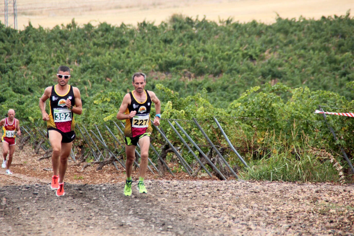 Fotos: Más de 300 atletas participan en la carrera &#039;Corriendo entre viña&#039; de Rueda (2/2