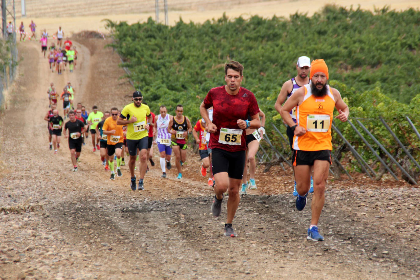 Fotos: Más de 300 atletas participan en la carrera &#039;Corriendo entre viña&#039; de Rueda (2/2