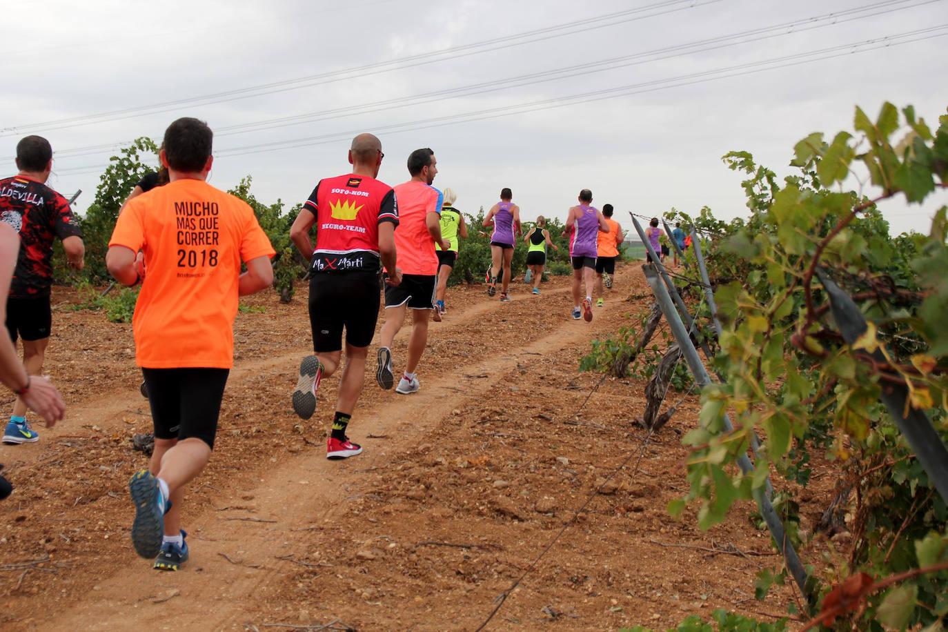 Fotos: Más de 300 atletas participan en la carrera &#039;Corriendo entre viña&#039; de Rueda (2/2