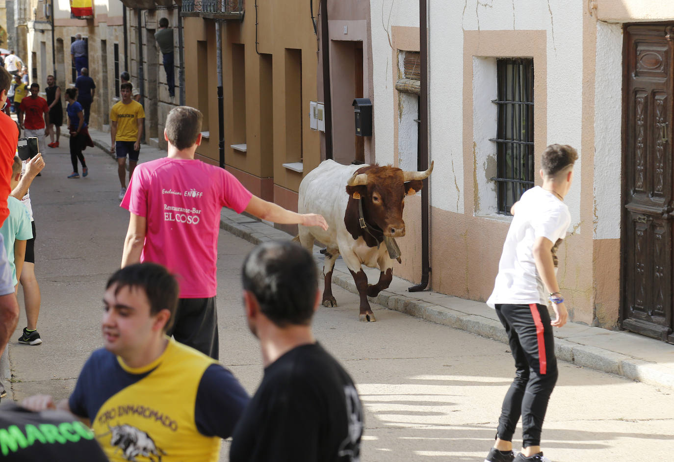 Fotos: Toro de pueblo en Astudillo