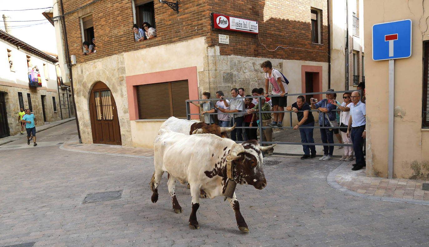 Fotos: Toro de pueblo en Astudillo