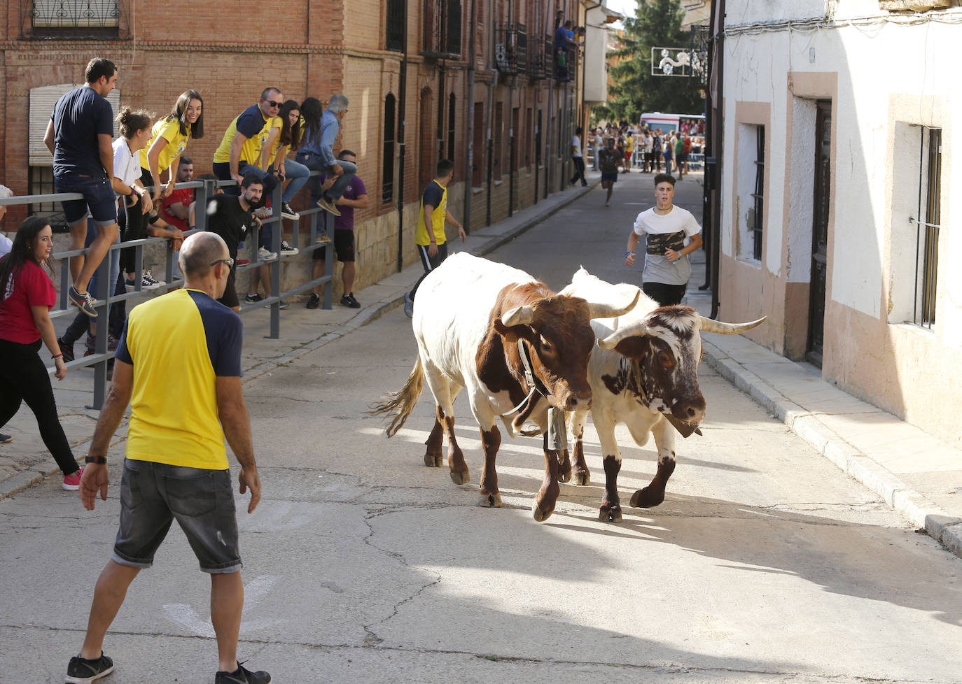 Fotos: Toro de pueblo en Astudillo