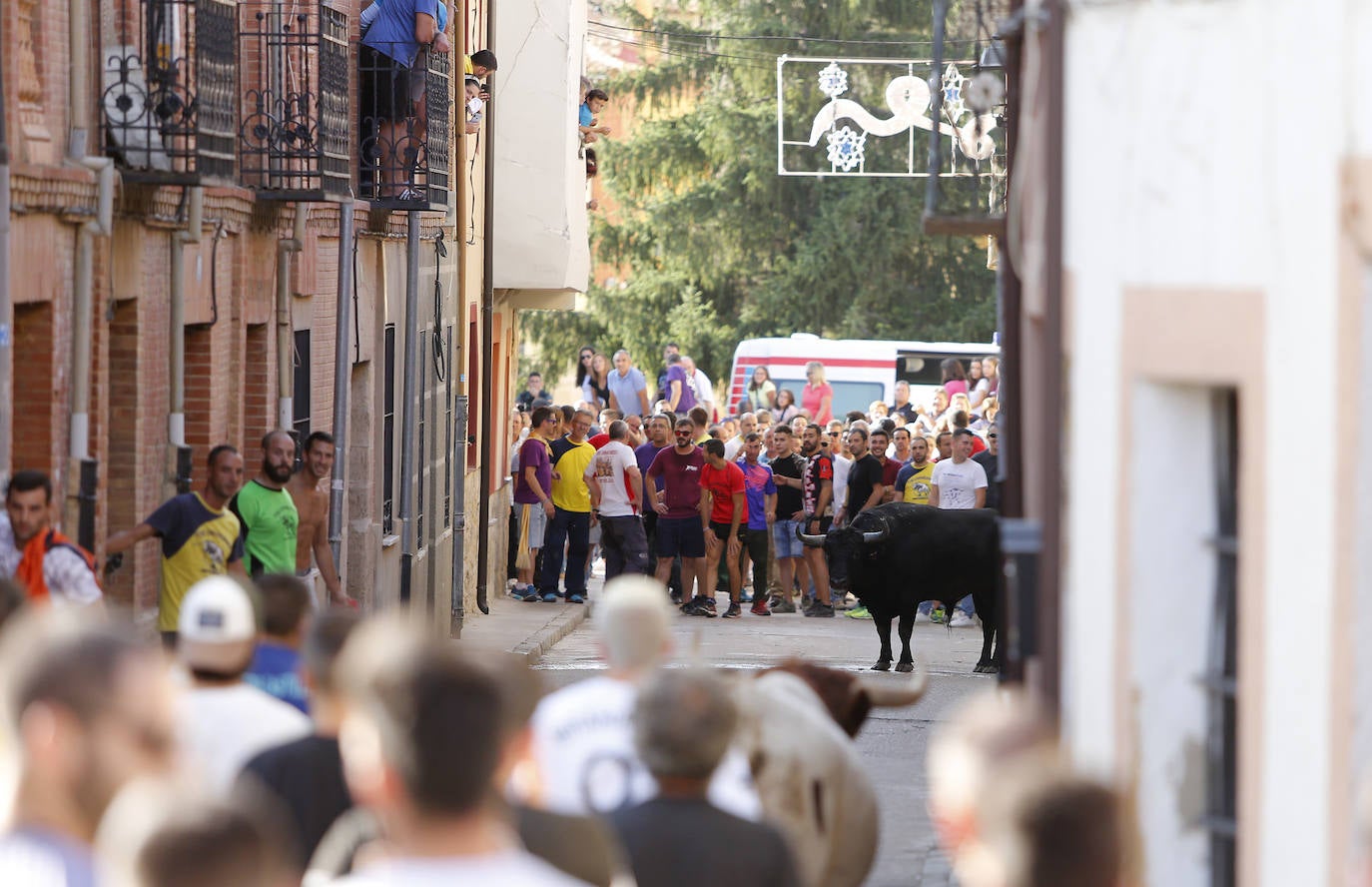 Fotos: Toro de pueblo en Astudillo