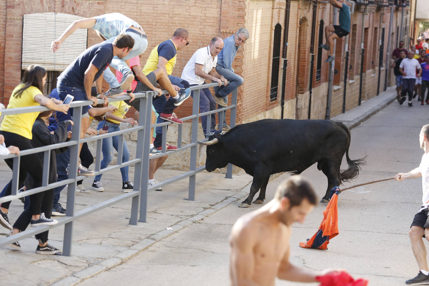 Fotos: Toro de pueblo en Astudillo