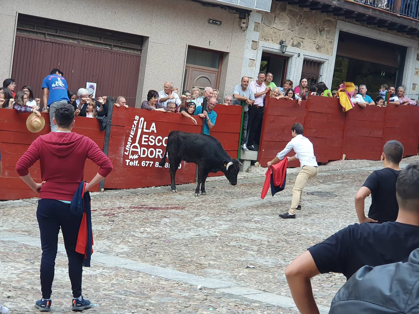 Fotos: Día del Toro en las fiestas de San Esteban de la Sierra