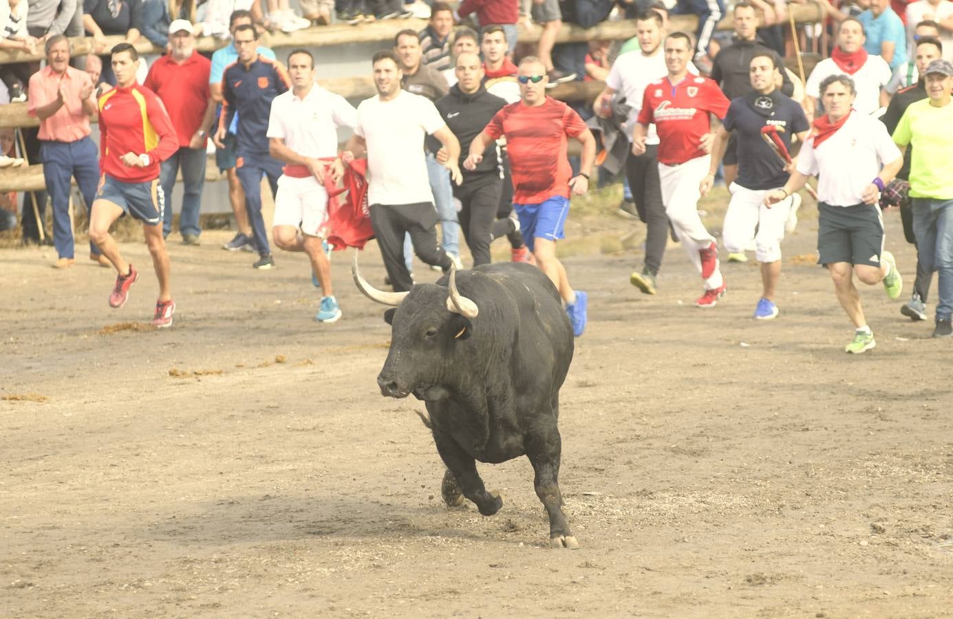 Tan solo unos tres minutos ha tardado 'Barco' en acceder a la zona de pinares | Se detuvo unos segundos en la rotonda, y acudió a algunos cites de los aficionados.