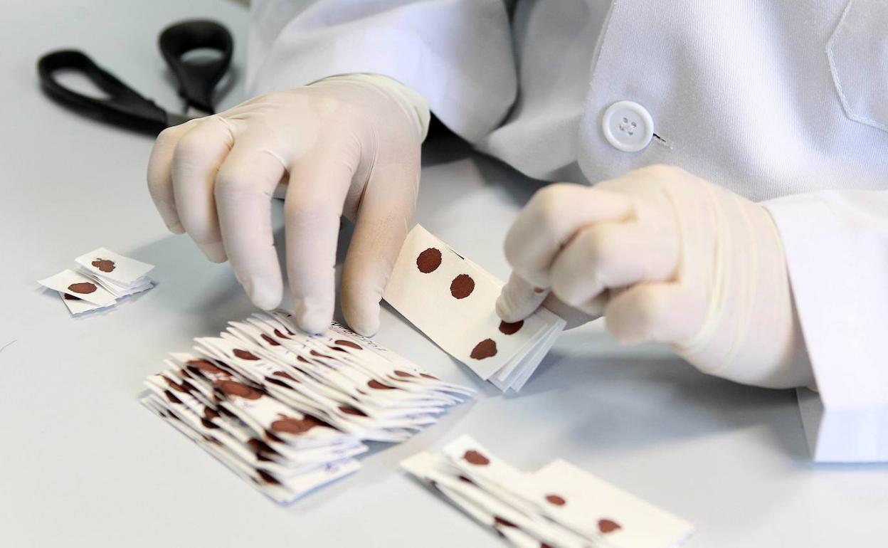 Una investigadora, en un laboratorio de la Universidad de Valladolid. 