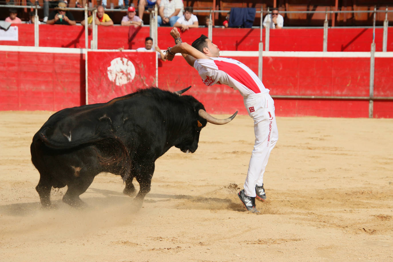 Participantes en el concurso de cortes de Riaza 