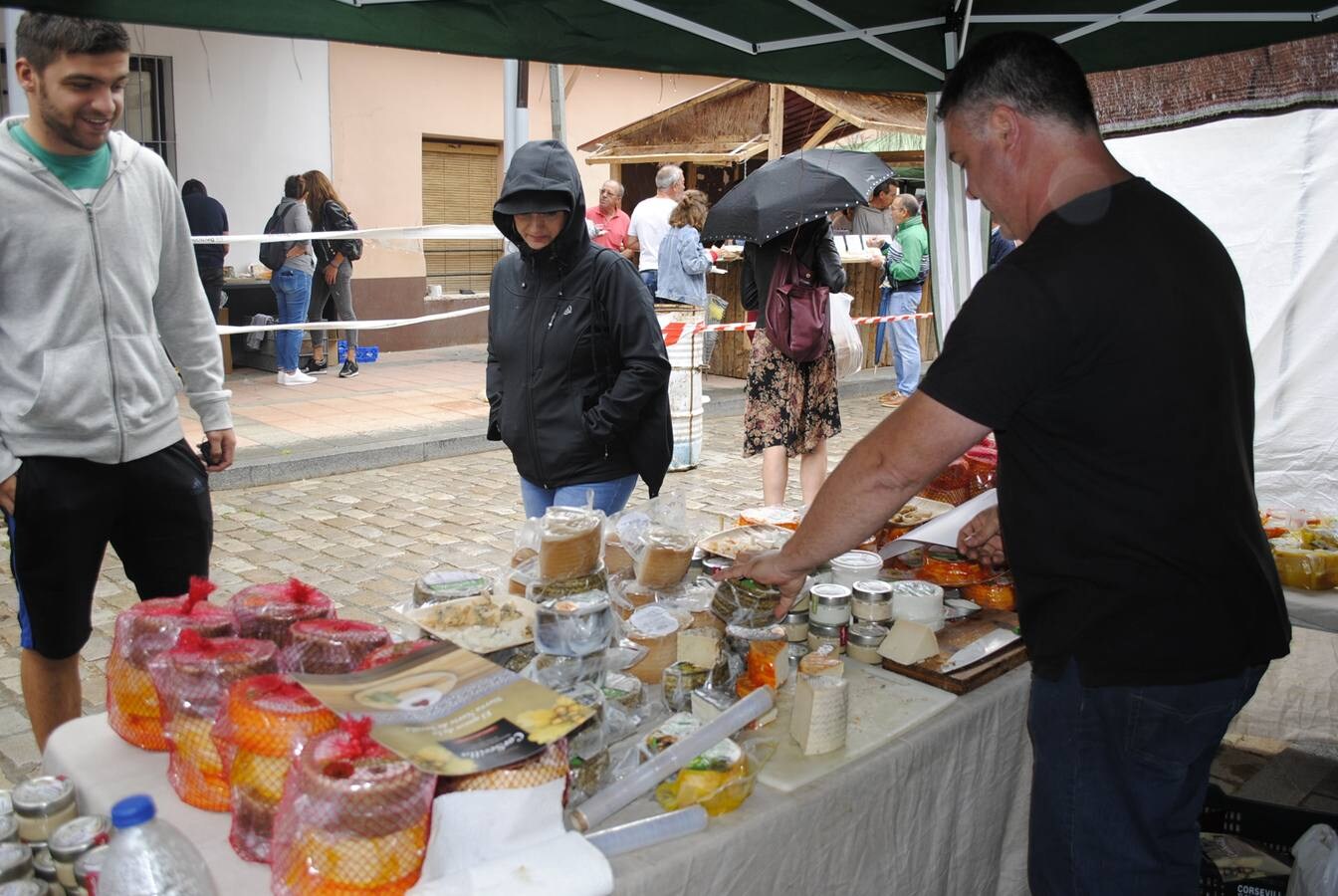 Fotos: IX Mercado del Queso de Villalón de Campos