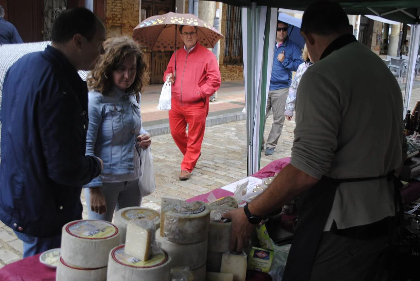 Fotos: IX Mercado del Queso de Villalón de Campos