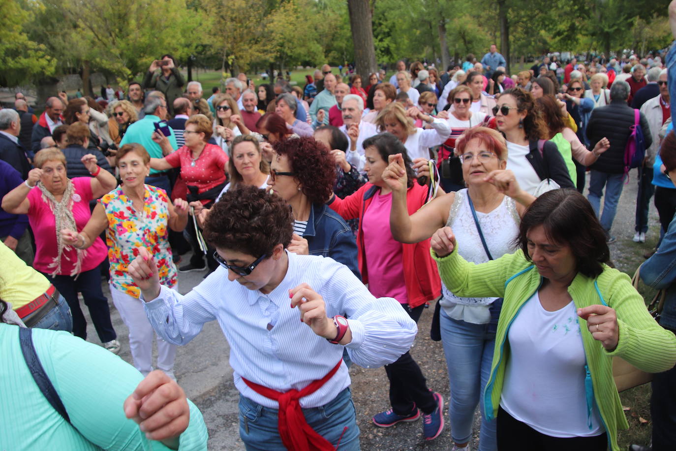 Romería de la Virgen del Henar. 