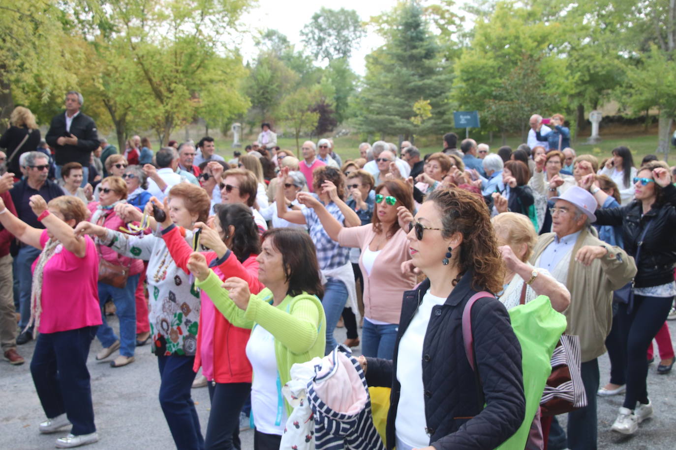 Romería de la Virgen del Henar. 