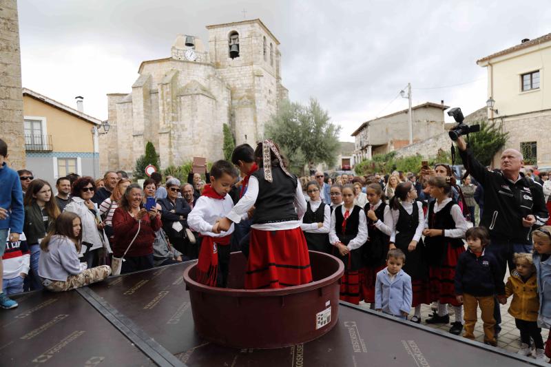 Es la primera celebración de estas características que se celebra en la comarca de Peñafiel este año.