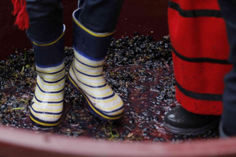 Es la primera celebración de estas características que se celebra en la comarca de Peñafiel este año.