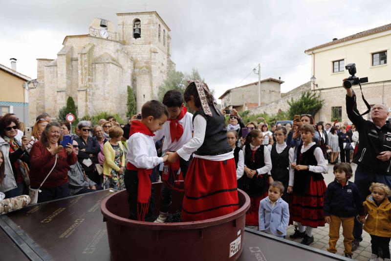 Es la primera celebración de estas características que se celebra en la comarca de Peñafiel este año.