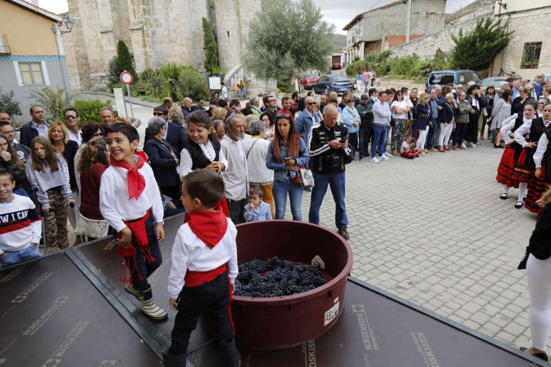 Es la primera celebración de estas características que se celebra en la comarca de Peñafiel este año.