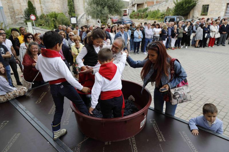 Es la primera celebración de estas características que se celebra en la comarca de Peñafiel este año.
