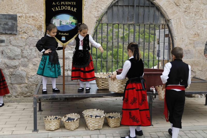 Es la primera celebración de estas características que se celebra en la comarca de Peñafiel este año.