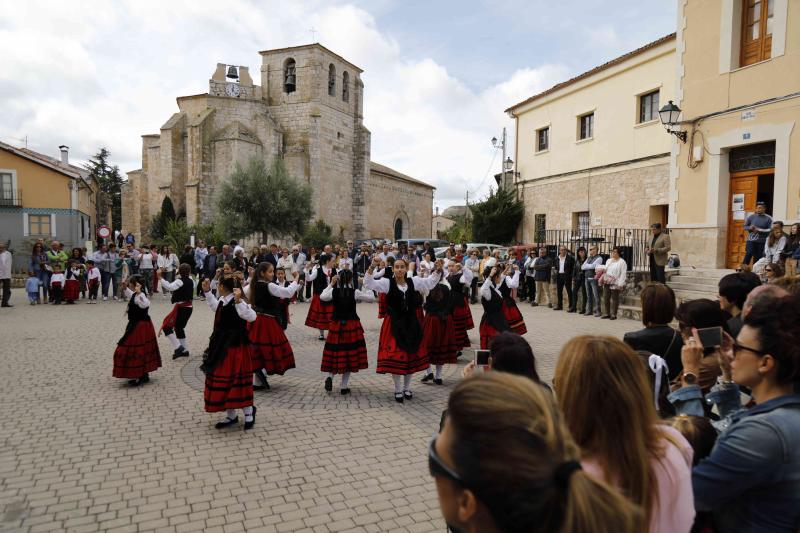 Es la primera celebración de estas características que se celebra en la comarca de Peñafiel este año.