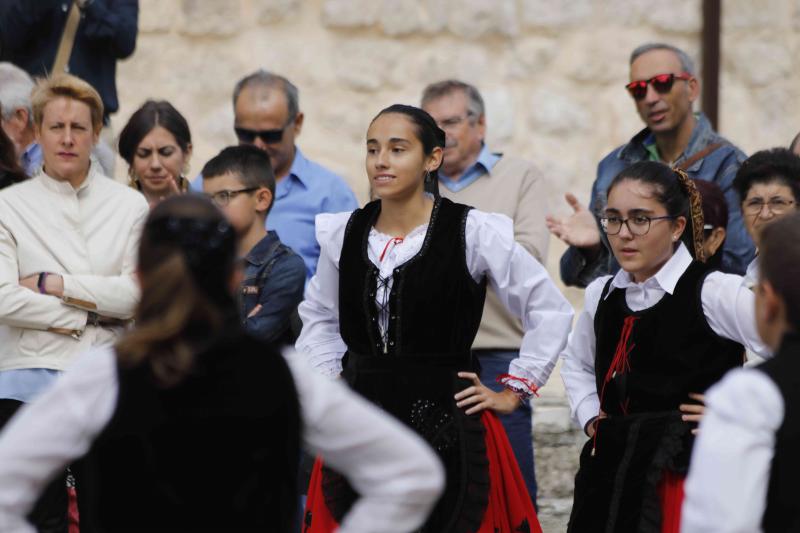 Es la primera celebración de estas características que se celebra en la comarca de Peñafiel este año.