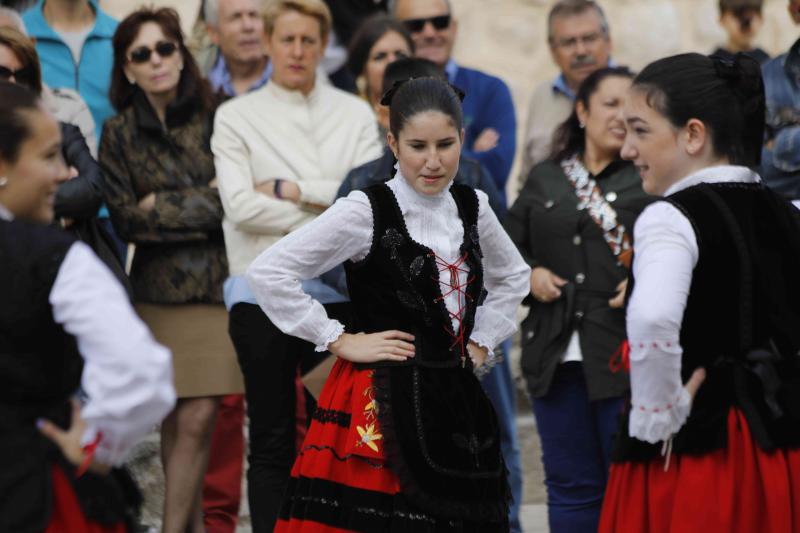 Es la primera celebración de estas características que se celebra en la comarca de Peñafiel este año.