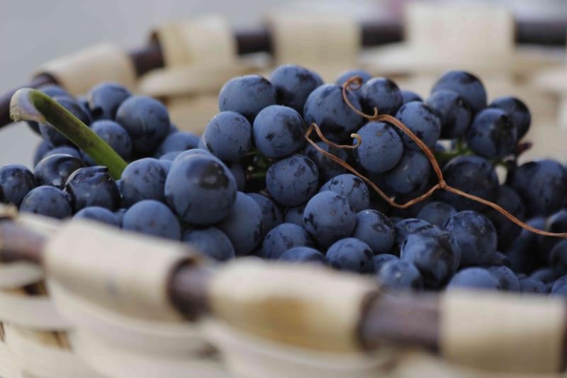 Es la primera celebración de estas características que se celebra en la comarca de Peñafiel este año.