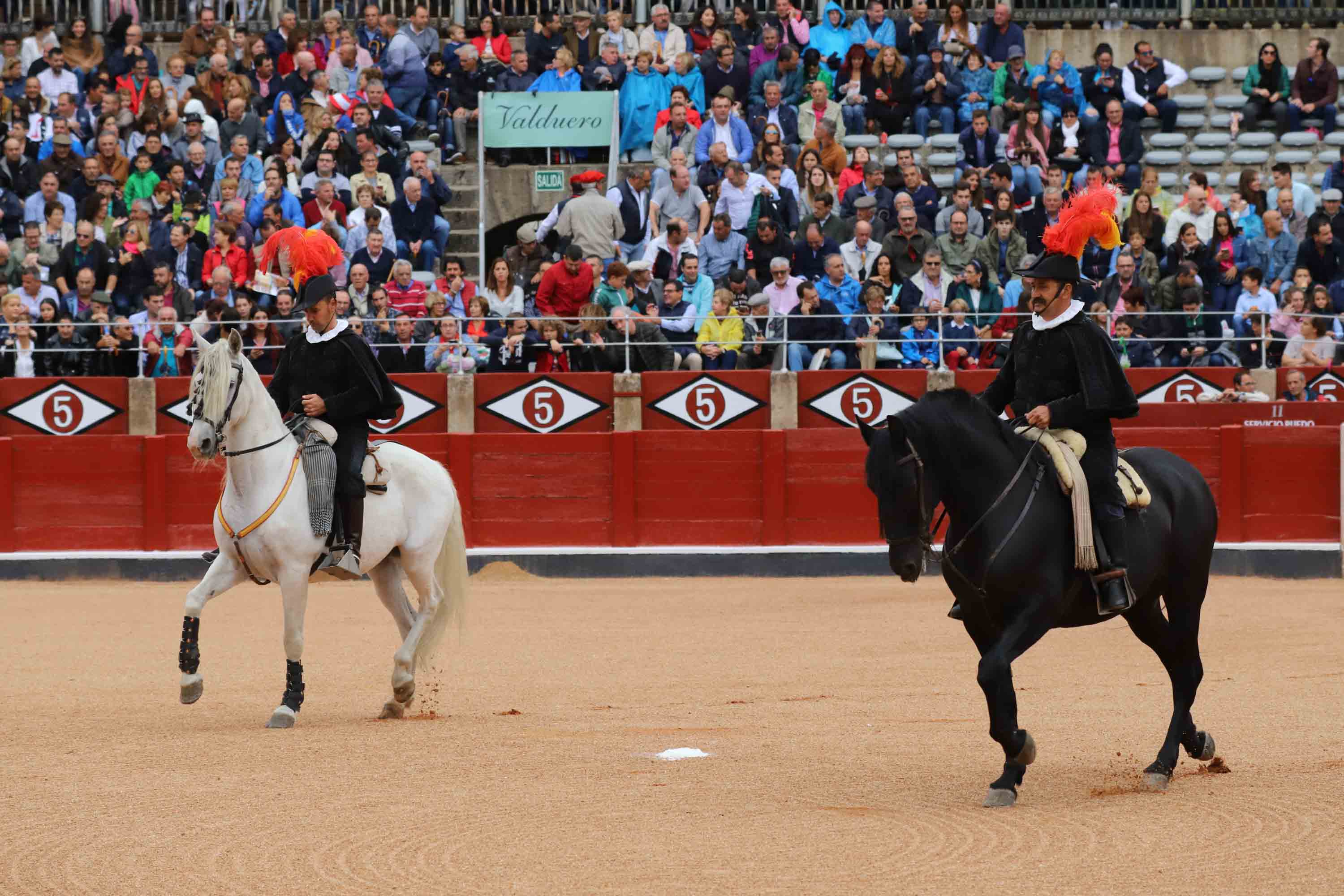 Lea Vicens y Guillermo Hermoso de Mendoza abrieron la puerta grande de La Glorieta tras cortar dos orejas cada uno en el sexto y último festejo de la Feria de Salamanca en el que Pablo Hermoso de Mendoza con toros de Herederos de Sánchez y Sánchez se fue de vacío