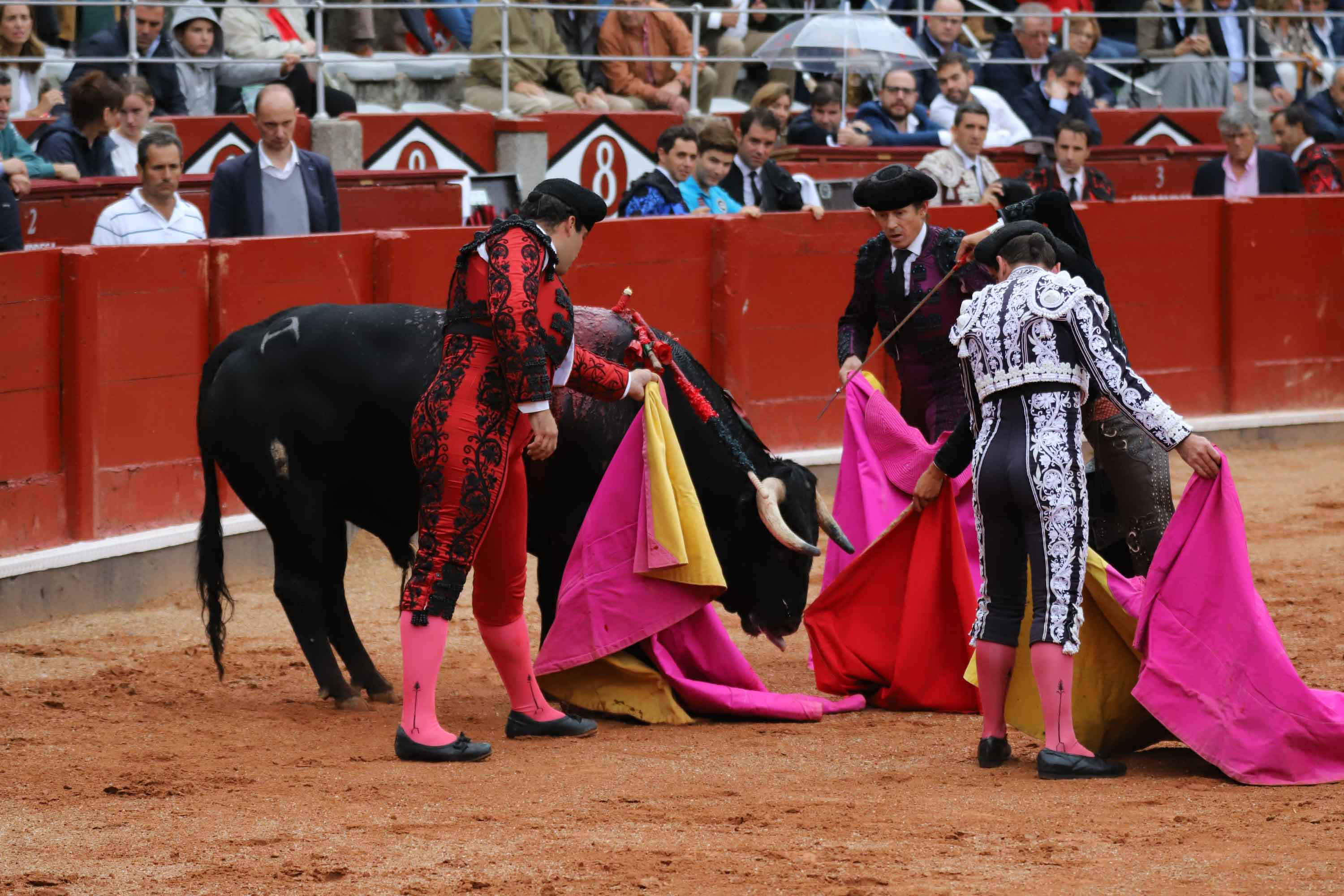 Lea Vicens y Guillermo Hermoso de Mendoza abrieron la puerta grande de La Glorieta tras cortar dos orejas cada uno en el sexto y último festejo de la Feria de Salamanca en el que Pablo Hermoso de Mendoza con toros de Herederos de Sánchez y Sánchez se fue de vacío