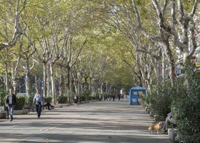 Imagen secundaria 1 - Arriba, el Paseo de Zorrilla sin árboles a la altura de la Plaza de Toros. Abajo, paseo justo enfrente del coso y jardines de La Rubia. 