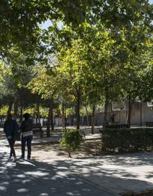 Imagen secundaria 2 - Arriba, construcción del instituto Galileo en Pajarillos. Sobre estas líneas, parque de Canterac y zona arbolada junto al antiguo matadero. 