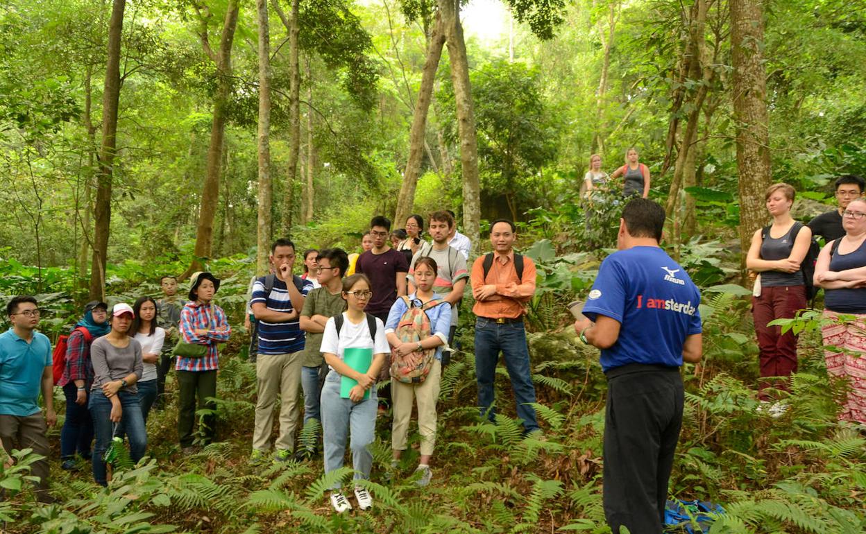 Visita de campo en un monte vietnamita. 