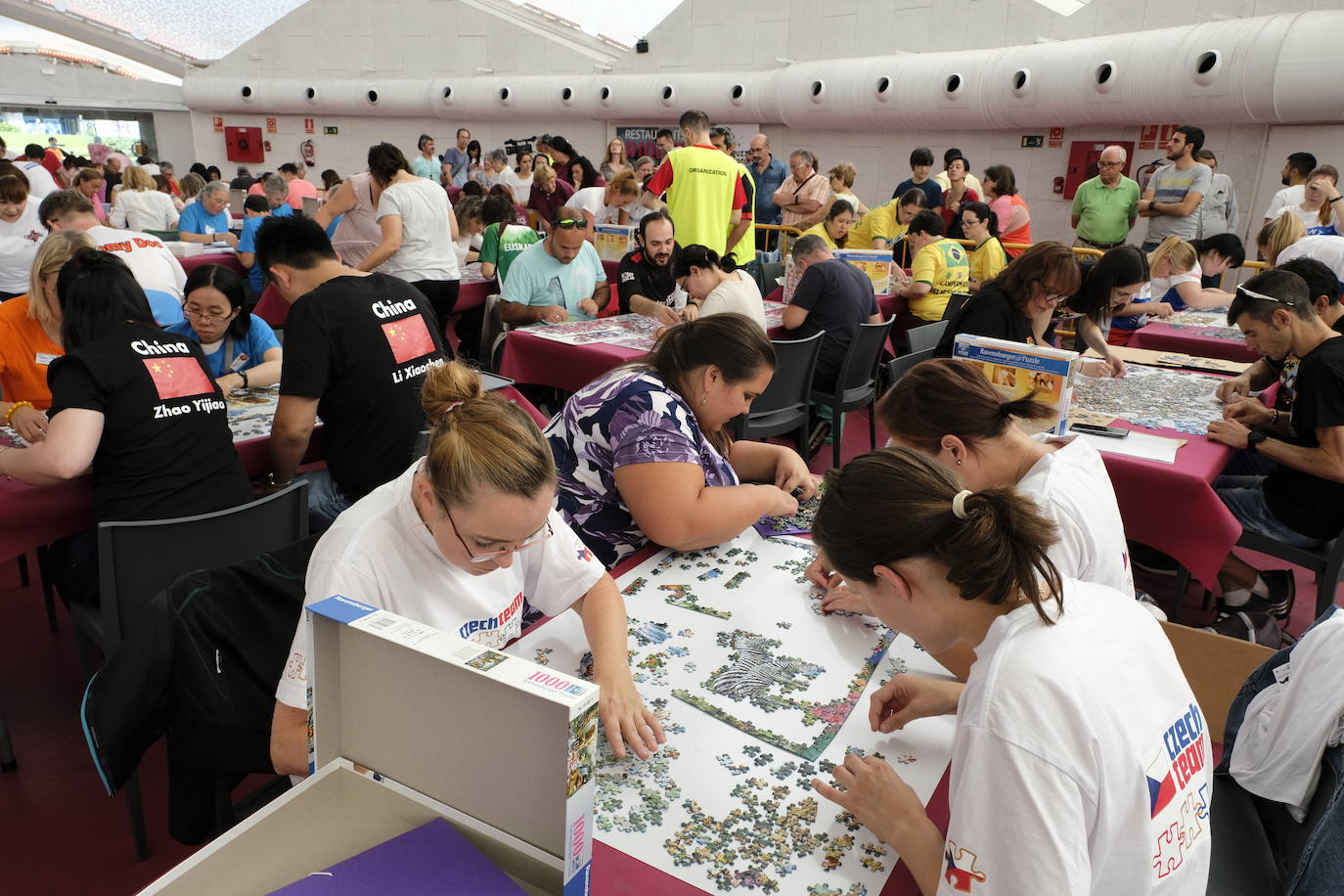 Unos 700 aficionados de 40 países diferentes participan este fin de semana en el I Campeonato del Mundo de Puzles que se celebra en la Cúpula del Mileno de Valladolid y que ha dado inicio hoy sábado con el torneo por equipos, al que seguirán mañana las disciplinas individual y por parejas. En total, el certamen, que cuenta con el apoyo del Ayuntamiento, repartirá 2.500 euros en premios.