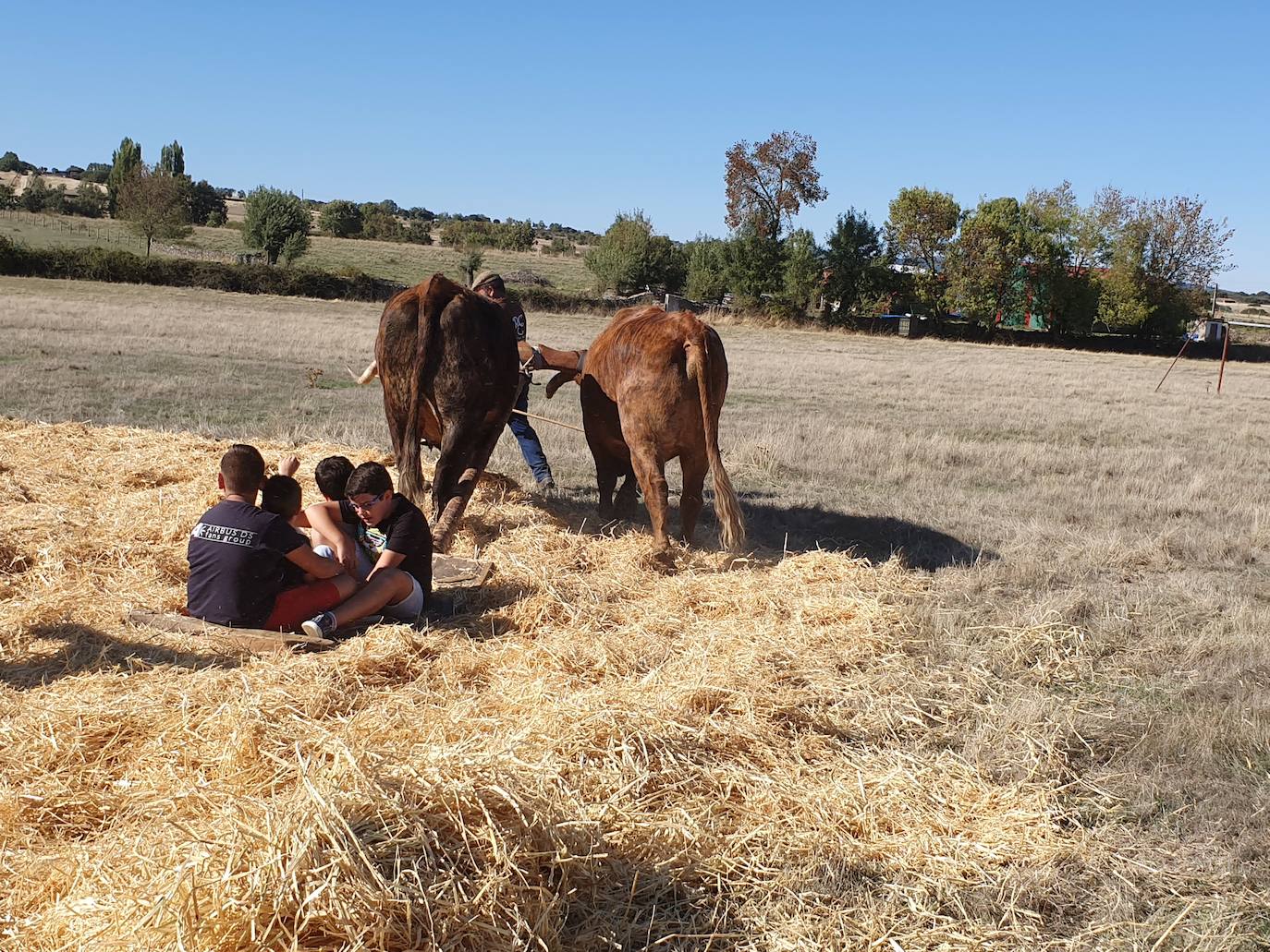 Fiestas de Fuenterroble de Salvatierra. 