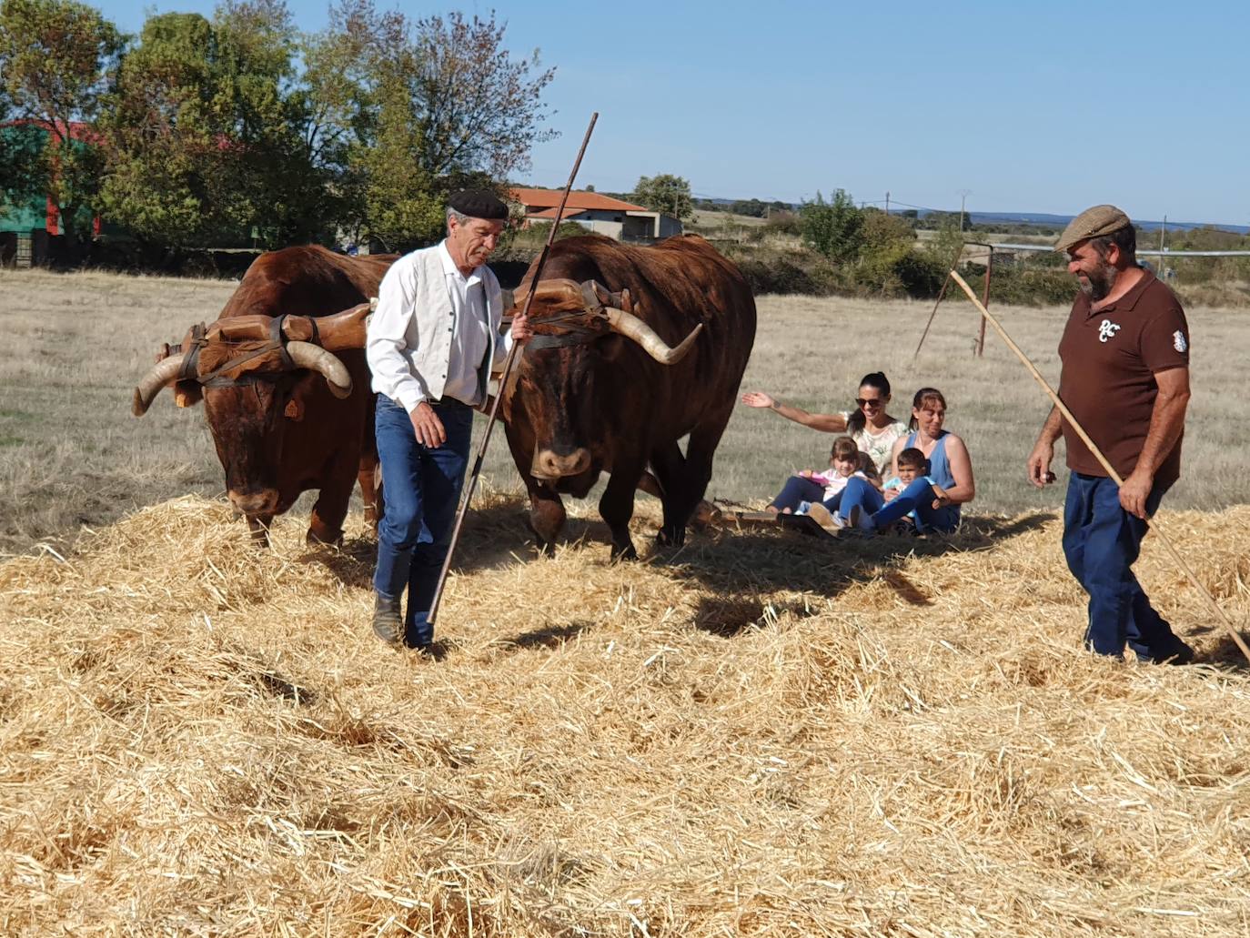 Fiestas de Fuenterroble de Salvatierra. 