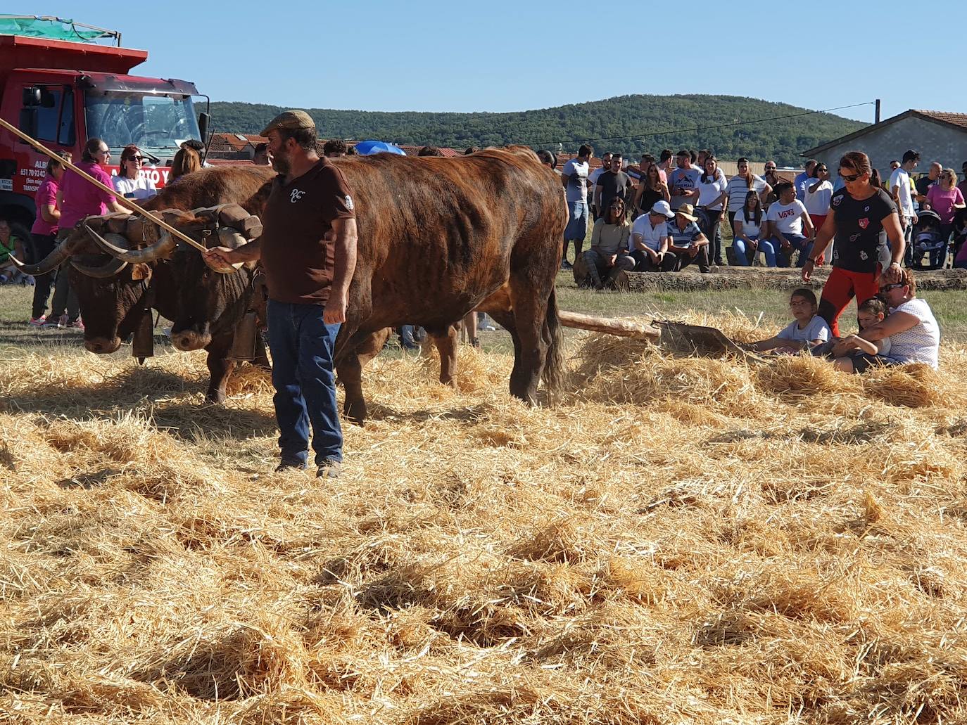 Fiestas de Fuenterroble de Salvatierra. 