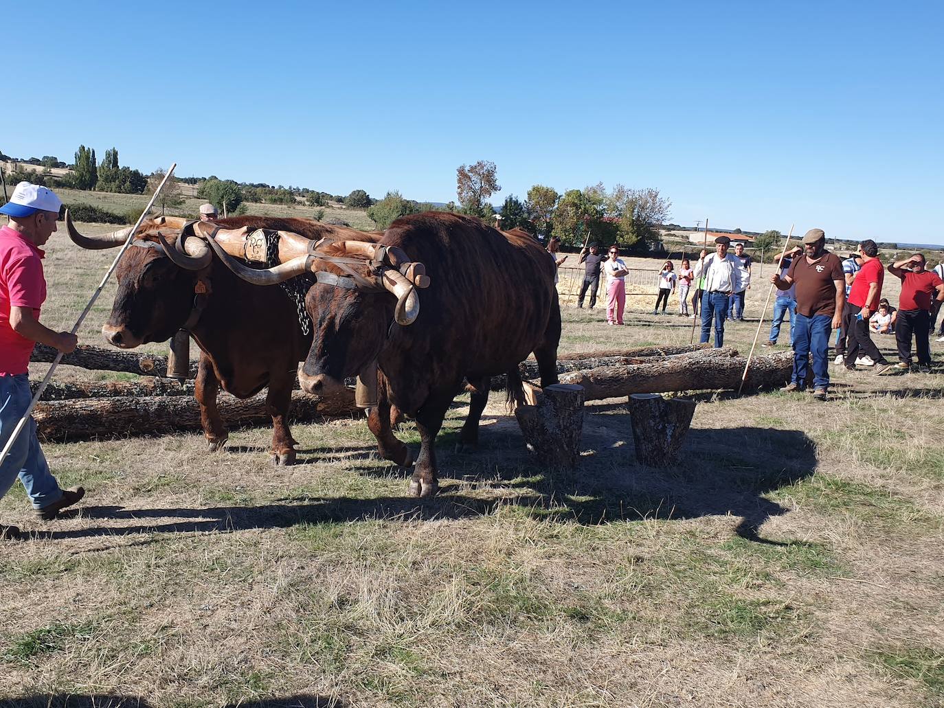 Fiestas de Fuenterroble de Salvatierra. 