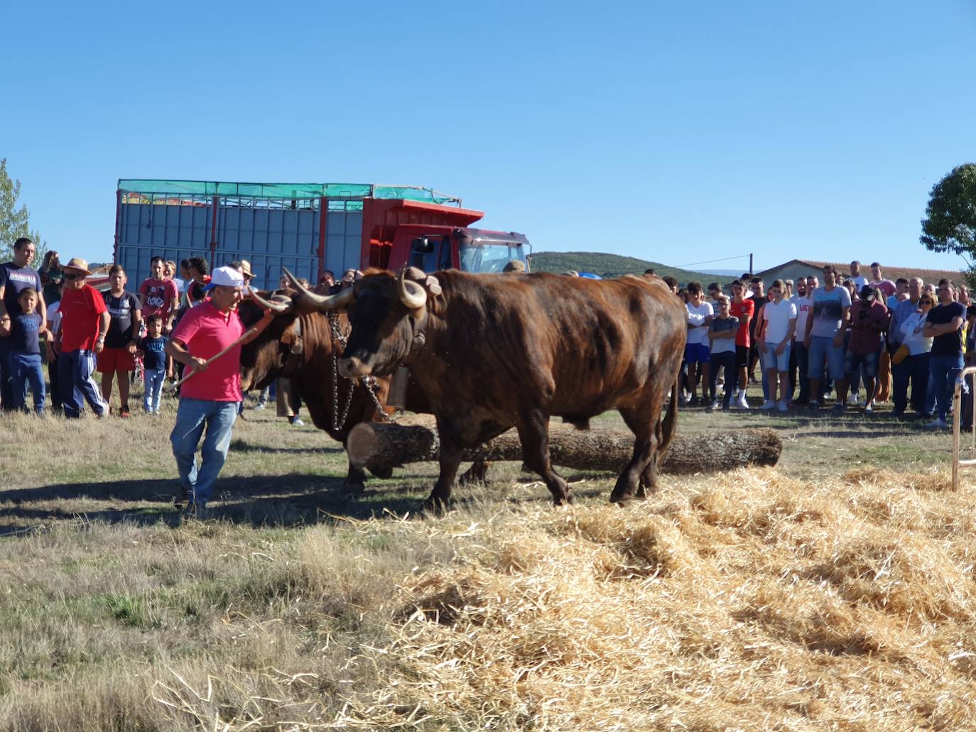 Fiestas de Fuenterroble de Salvatierra. 