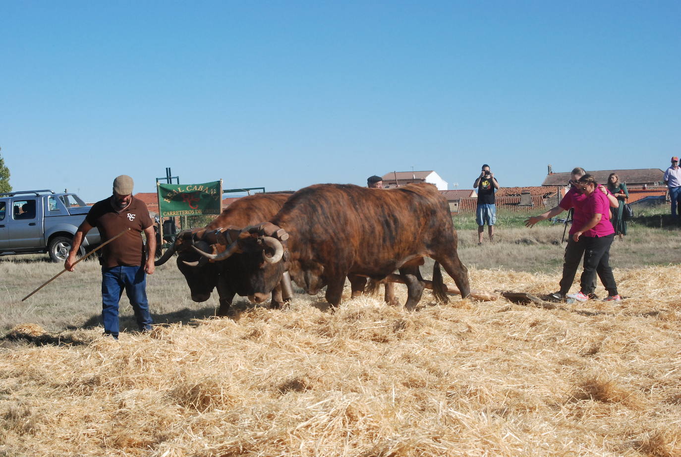 Fiestas de Fuenterroble de Salvatierra. 