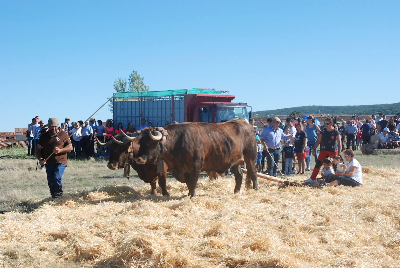 Fiestas de Fuenterroble de Salvatierra. 
