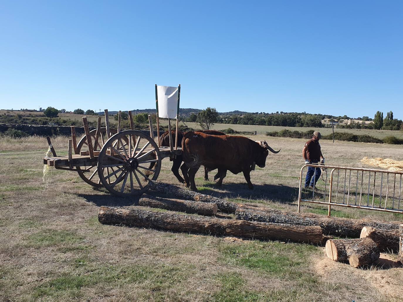 Fiestas de Fuenterroble de Salvatierra. 