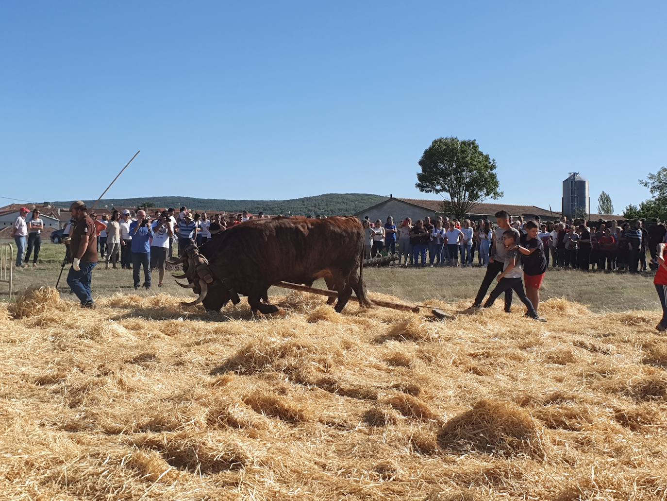 Fiestas de Fuenterroble de Salvatierra. 