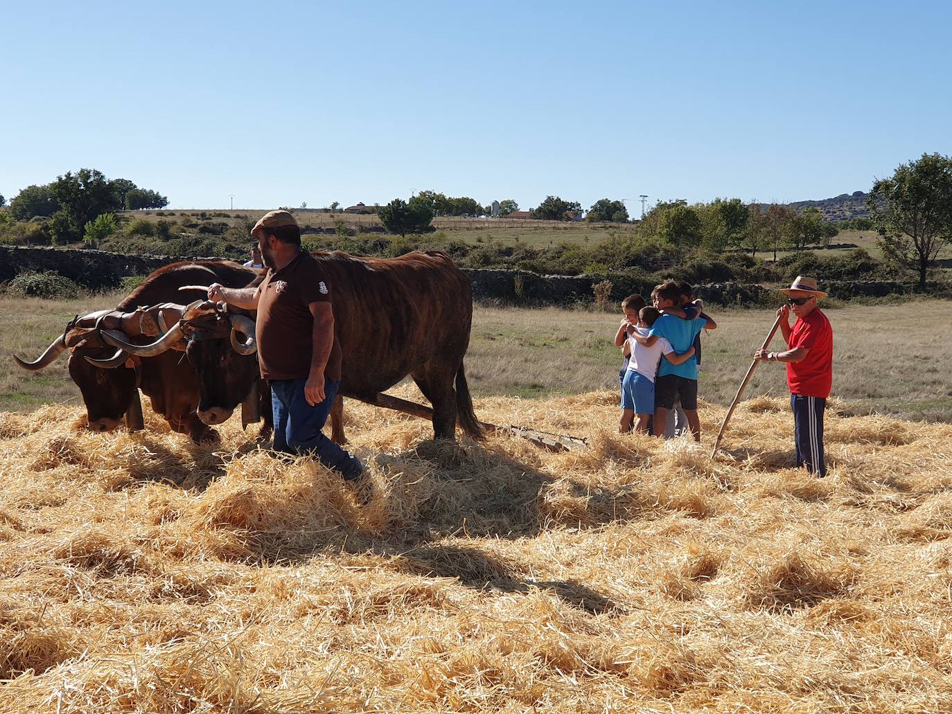 Fiestas de Fuenterroble de Salvatierra. 