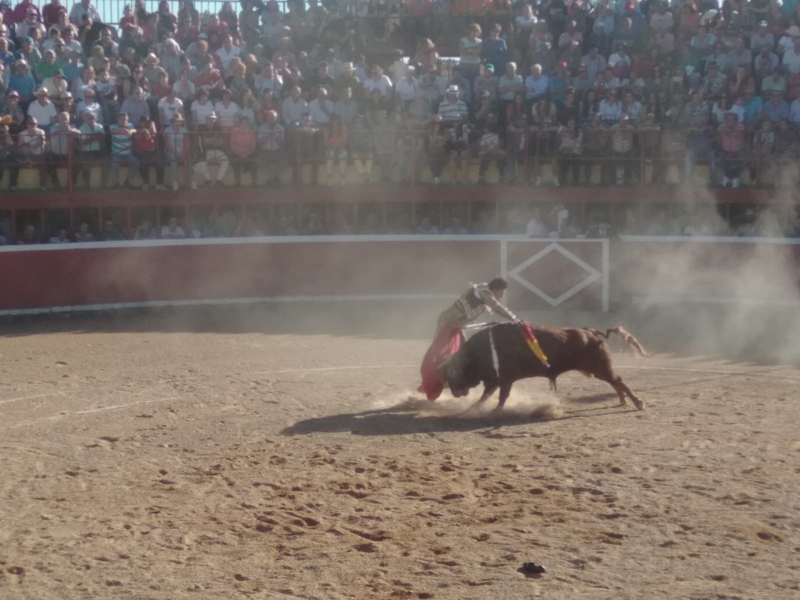 Fotos: Festejos taurinos en San Miguel de Valero