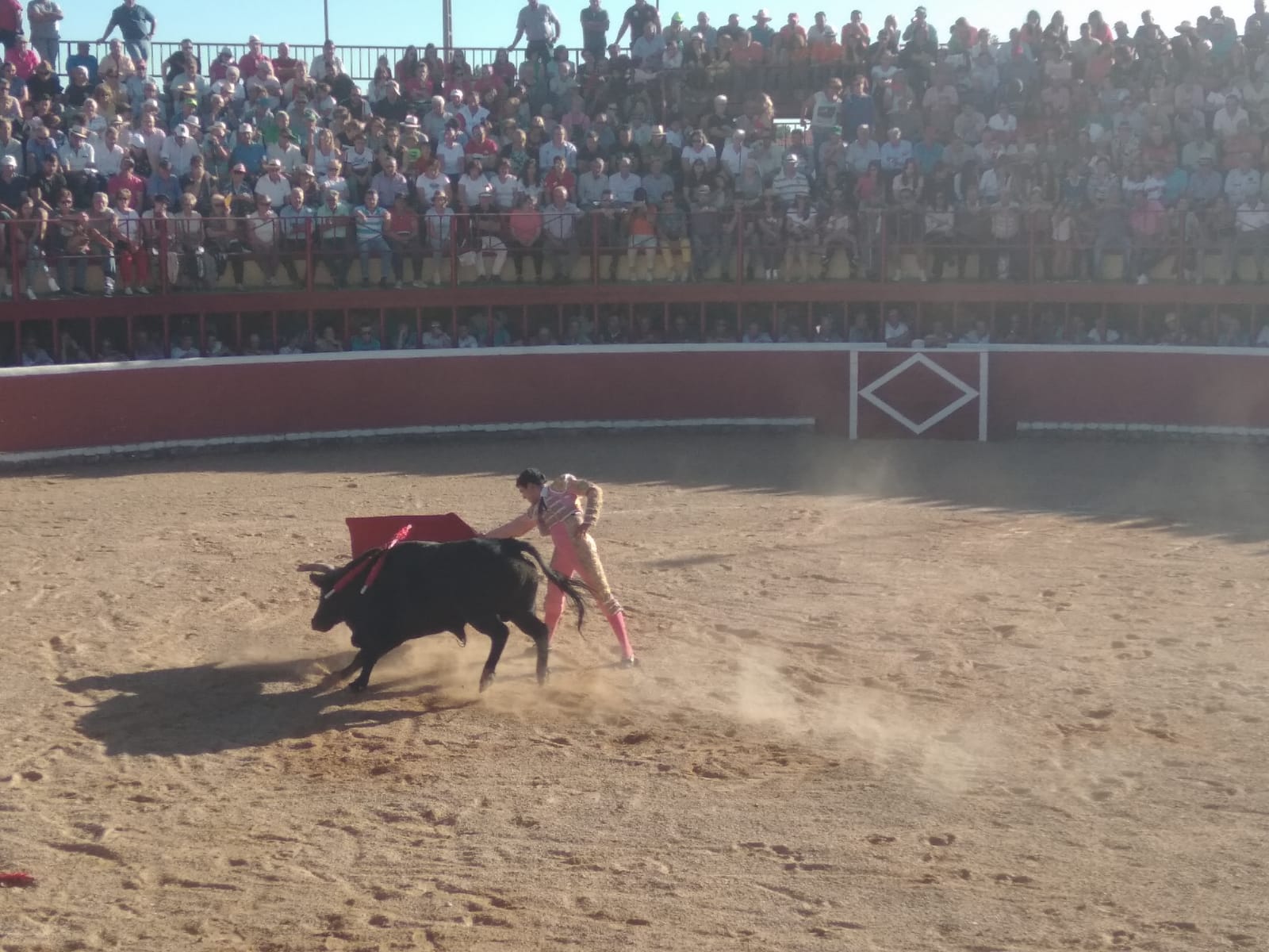 Fotos: Festejos taurinos en San Miguel de Valero