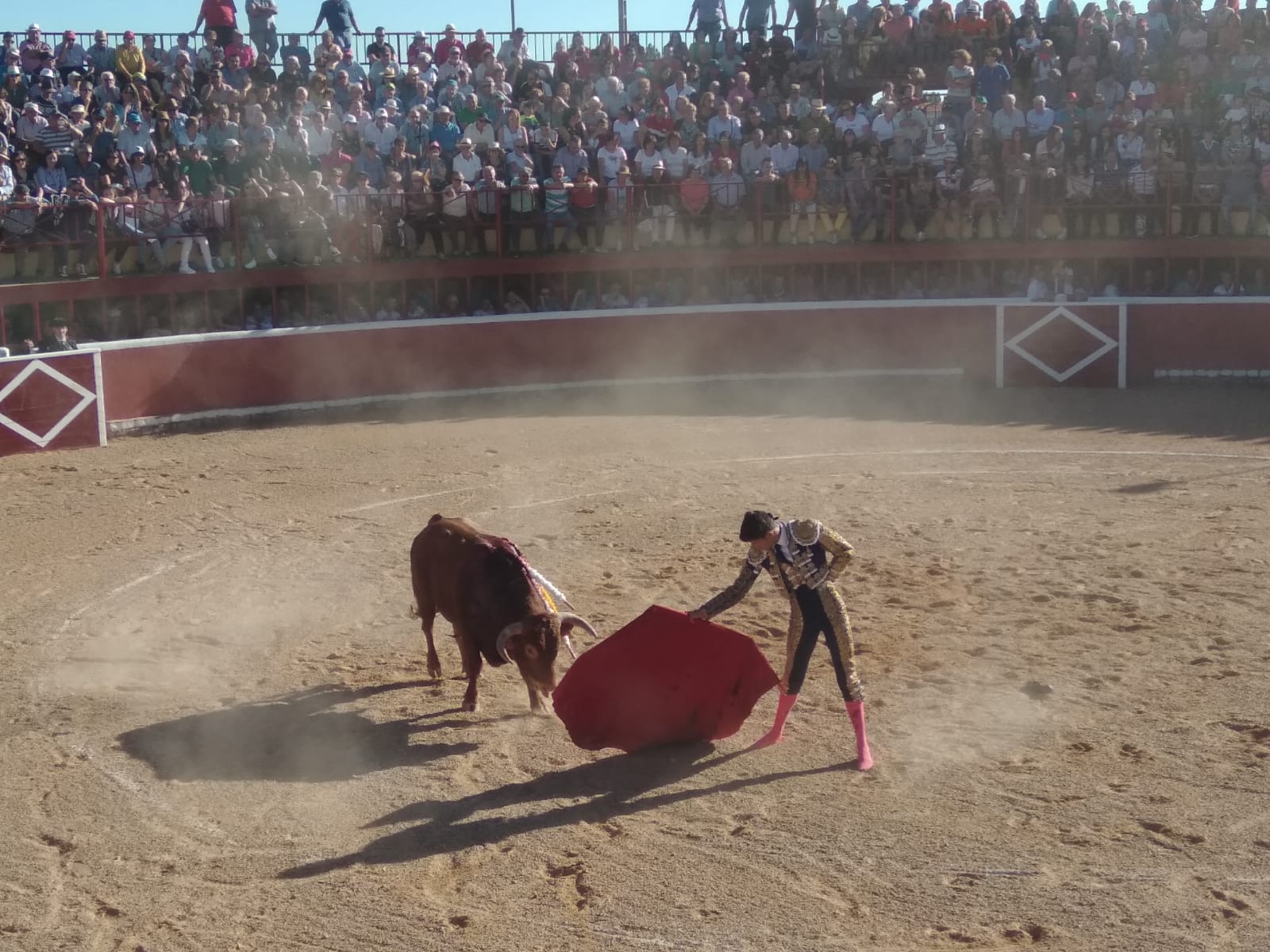 Fotos: Festejos taurinos en San Miguel de Valero