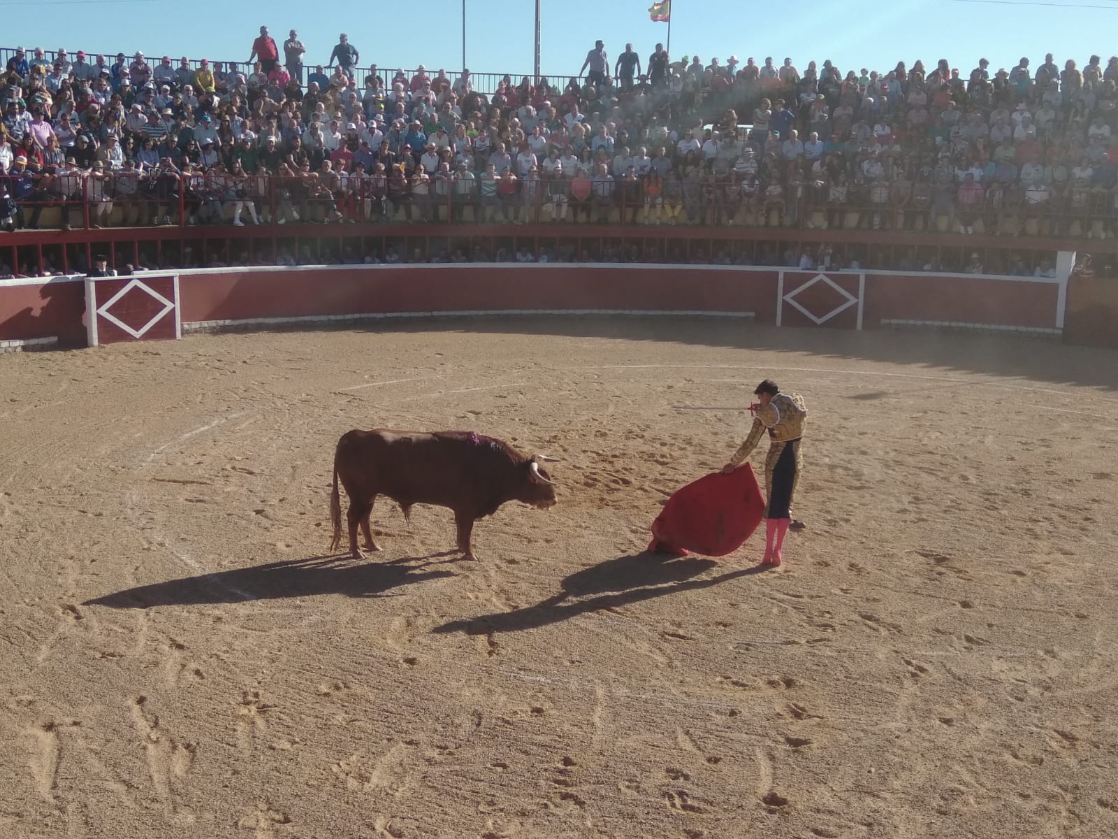 Fotos: Festejos taurinos en San Miguel de Valero