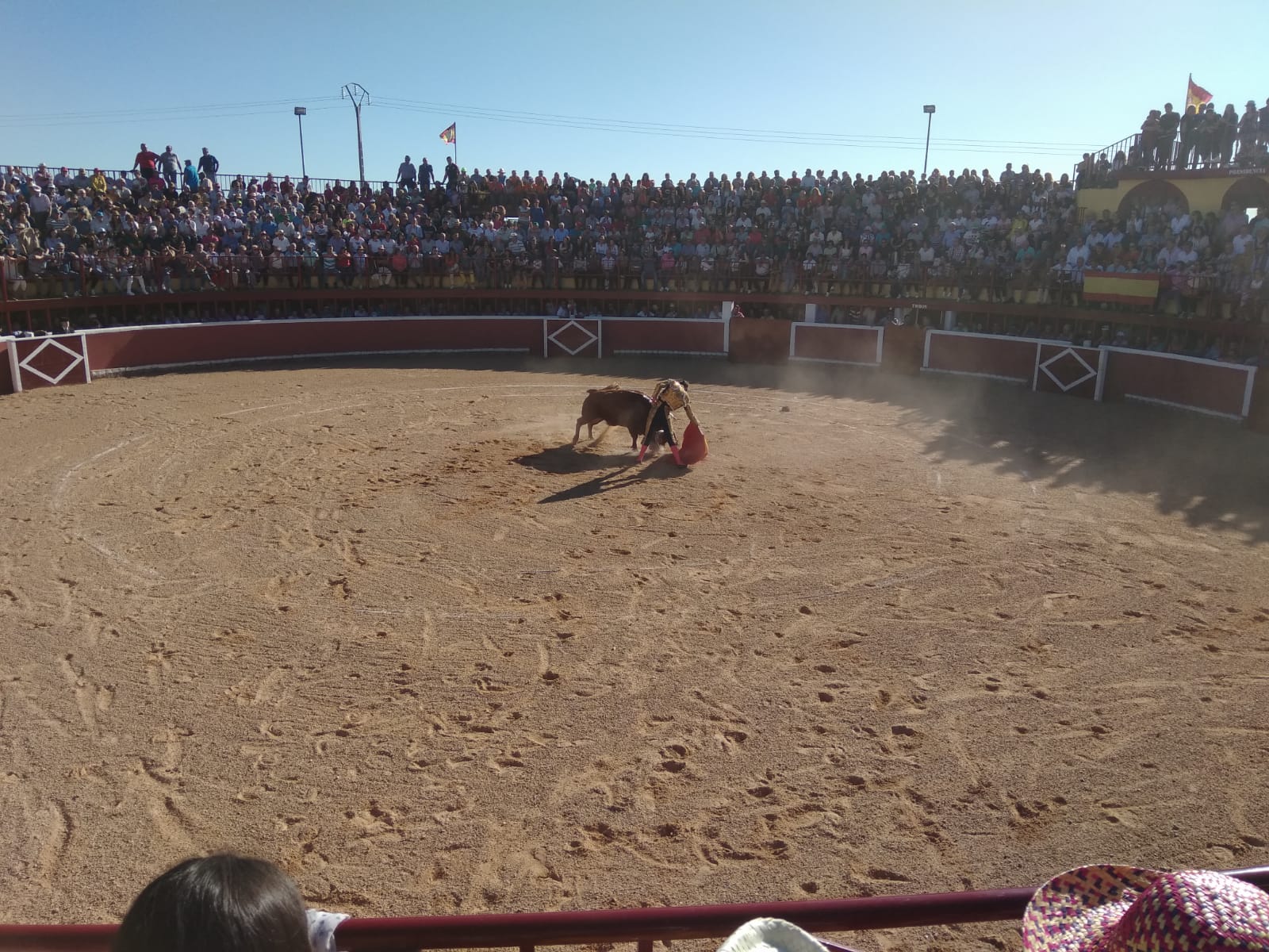 Fotos: Festejos taurinos en San Miguel de Valero