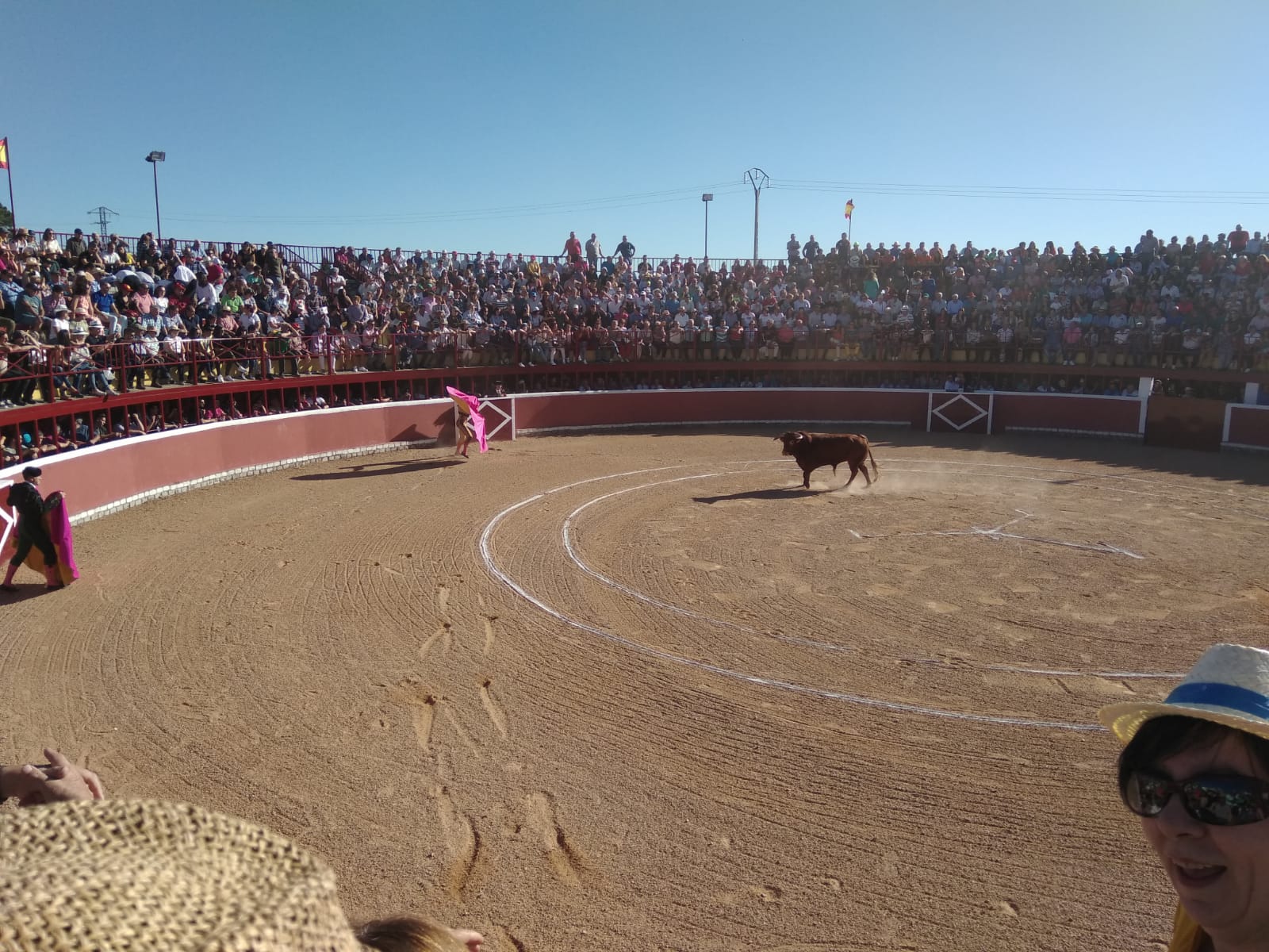 Fotos: Festejos taurinos en San Miguel de Valero