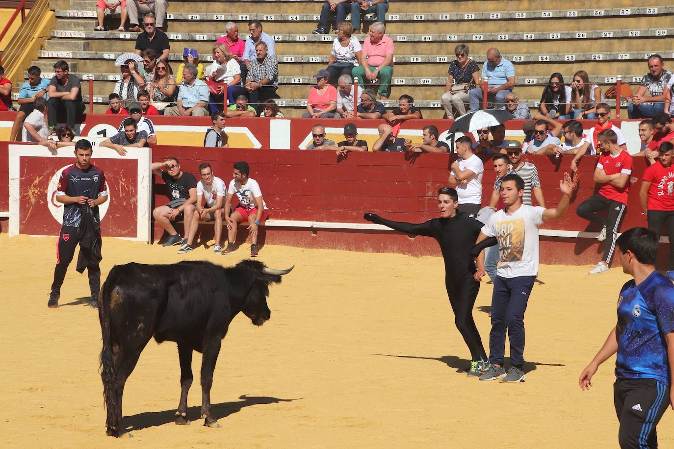 Fotos: Fiestas patronales de San Miguel Arcángel en Cuéllar
